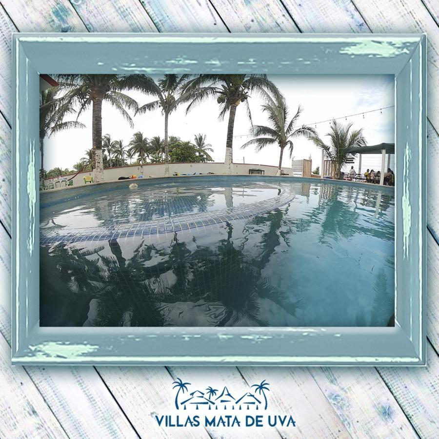 Villas Mata De Uva Heroica Heroica Alvarado Exteriér fotografie